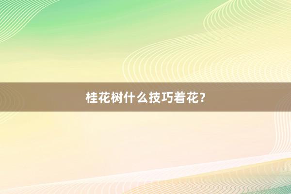 桂花树什么技巧着花？