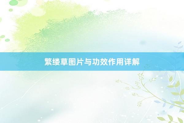 繁缕草图片与功效作用详解